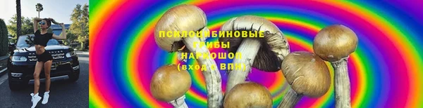 mix Бородино